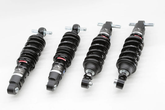 Ferrari 360 00-05 Alpine Series Coilover