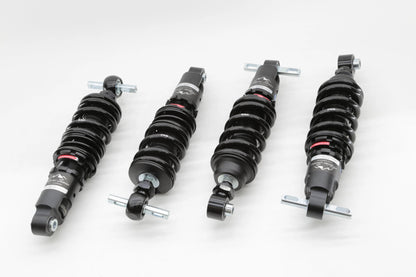 Ferrari 360 00-05 Alpine Series Coilover