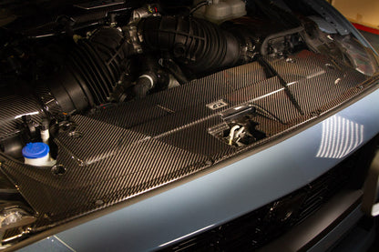 Carbon Fiber Cooling Plate - Ford Mustang S650 2024 - Current