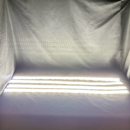 Quad Row White Portal Lights