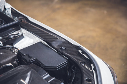 Carbon Fiber Radiator Cooling Plates - Acura DE5 Integra Type S & A Spec