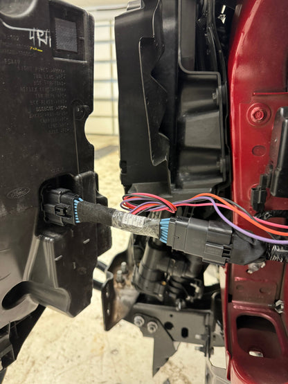 Ford Accessory Lighting Jumper Harness (F-150)