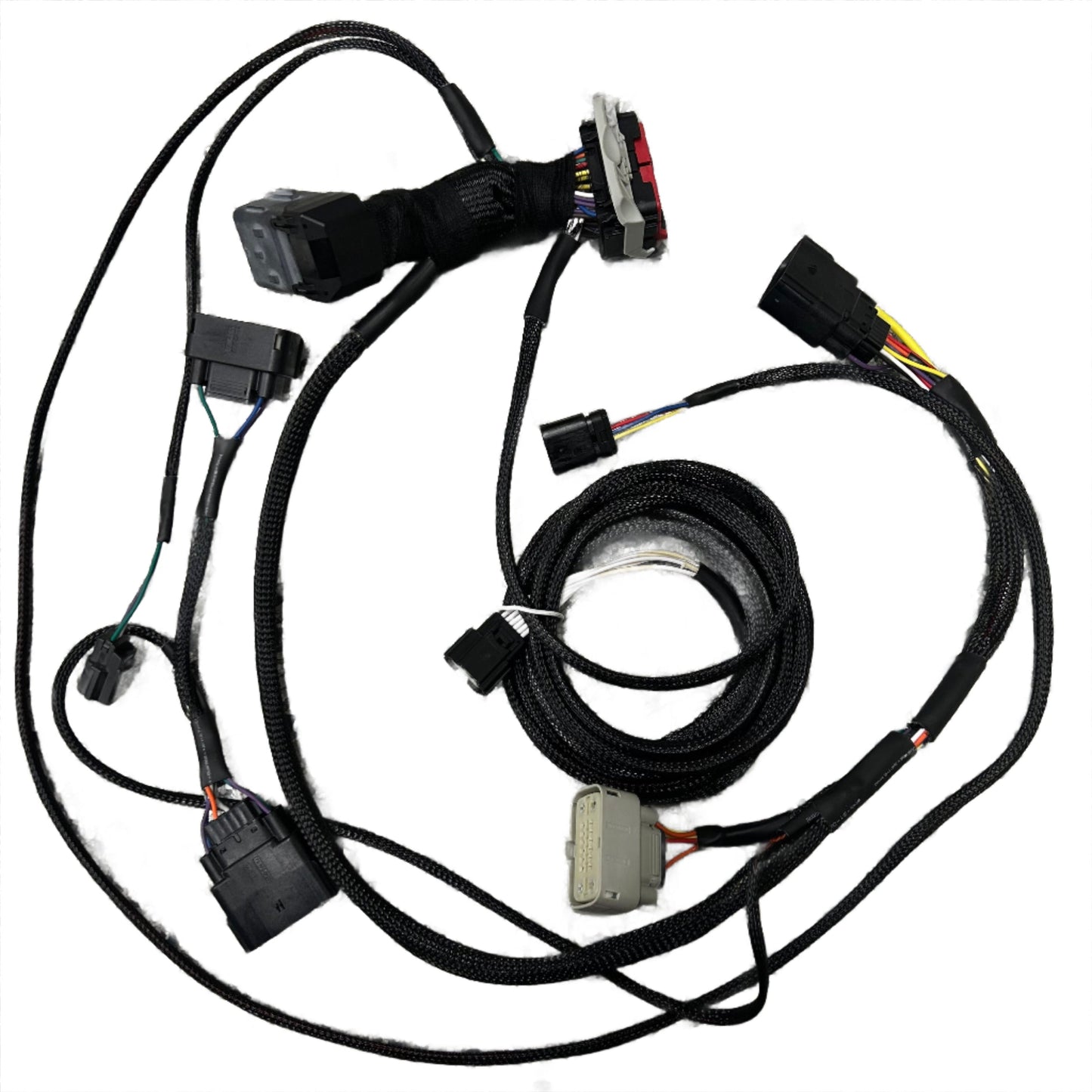 2010 Mustang GT/GT500 6R80 ONLY Plug and Play Swap Harness