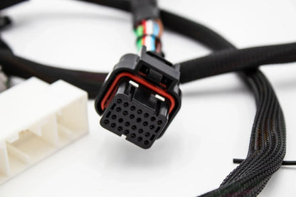 FuelTech FT450 Plug & Play Adapter Harness – Honda K-Series Standalone (V2) | VTI