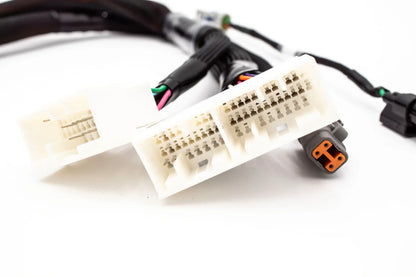 Haltech Elite 1000 / 1500 Plug & Play Adapter – 02-04 Honda K-Series RSX / EP3 | VTI