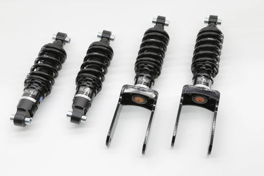 Dodge Viper 03-10 Alpine Series Coilover