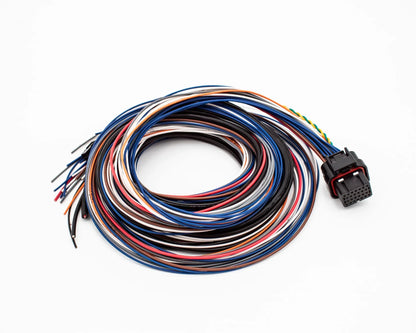 FuelTech FT450 / FT550 Unterminated Wiring Harness – A Connector