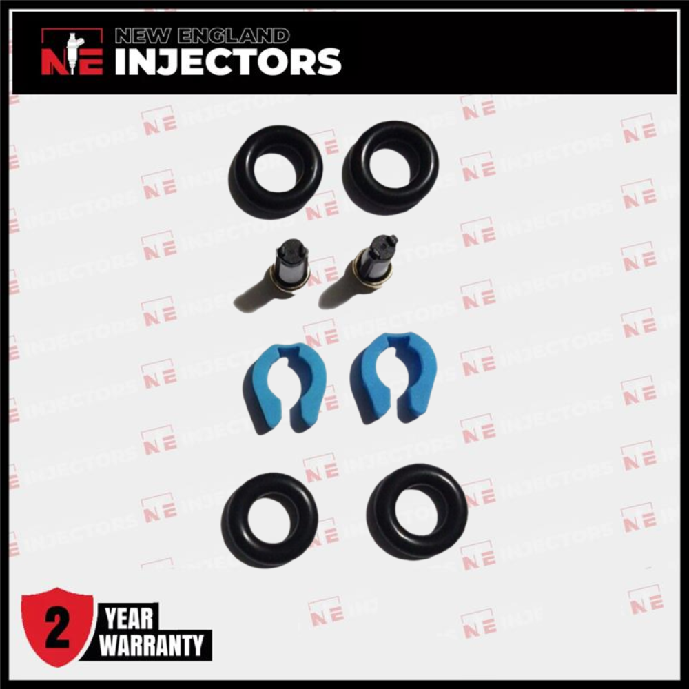 Harley Davidson Ducati Marelli Injector Rebuild / O-ring Kit Set of 2