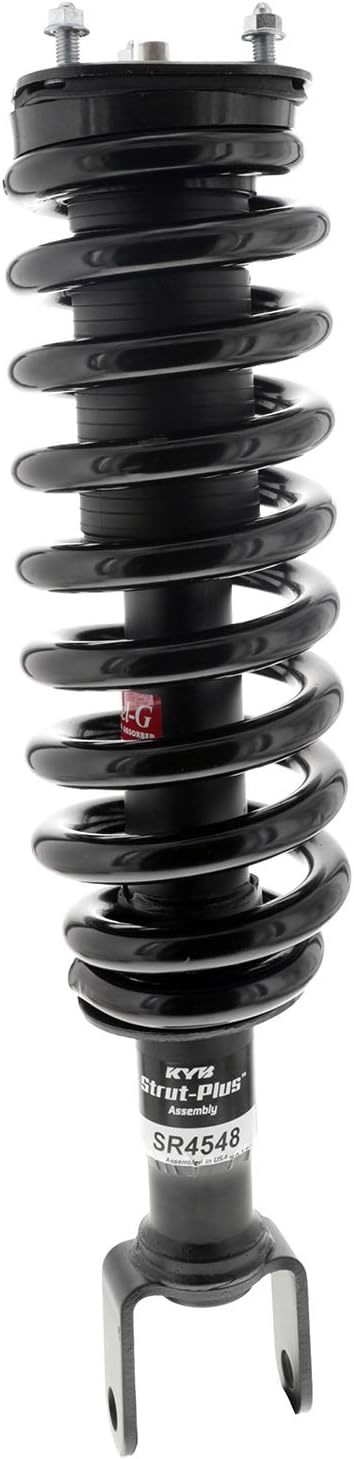 SHOCKS AND STRUTS