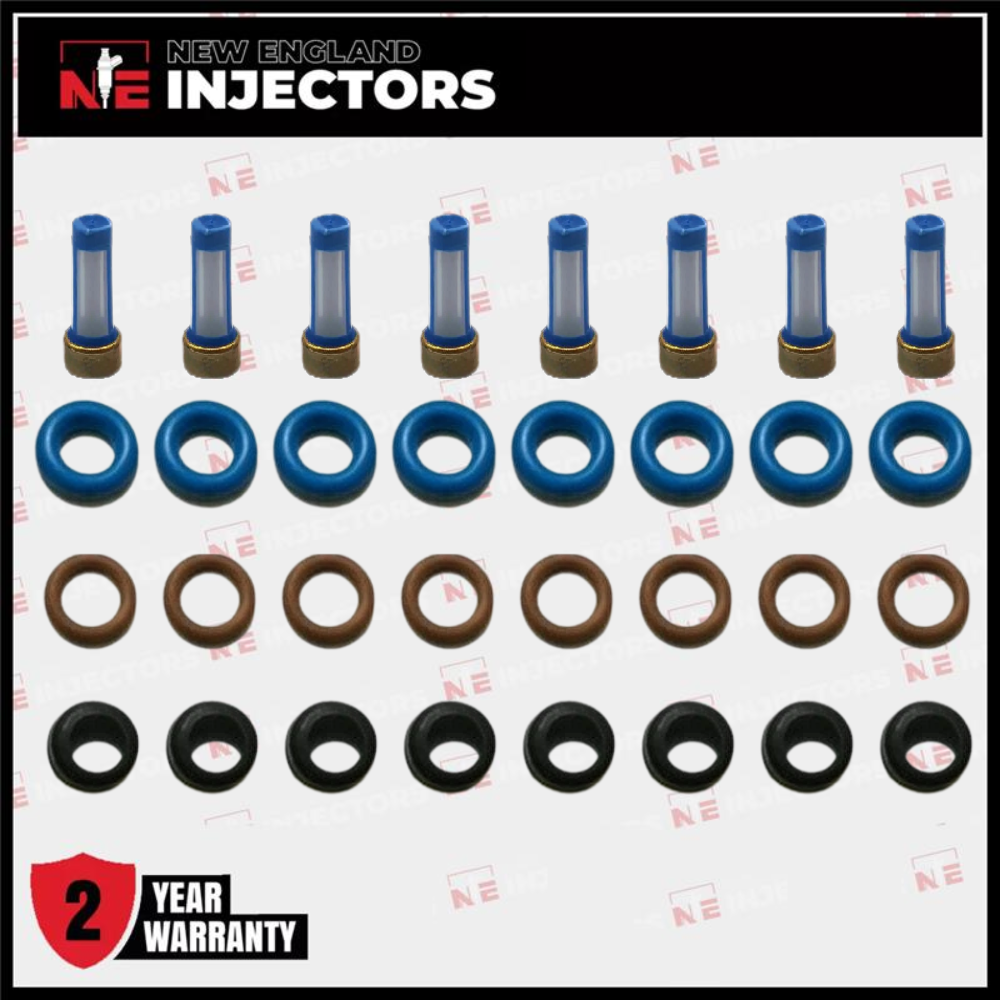 Fuel Injector Rebuild Kit O-rings Filters Pintle V8 Chevy GMC 4.8 5.3 6.0 Delphi
