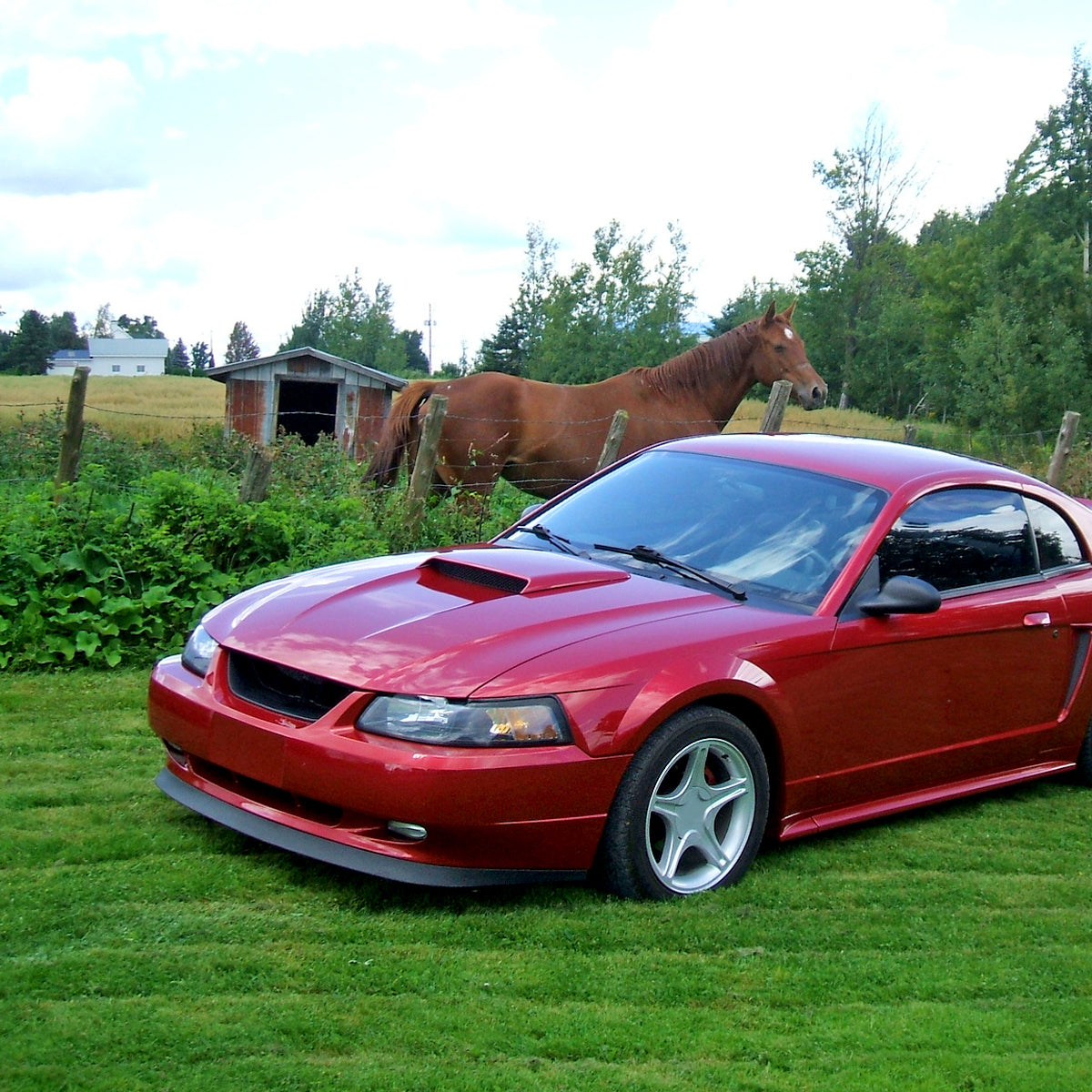 1999-2004 Ford Mustang ABS Bumper Lip