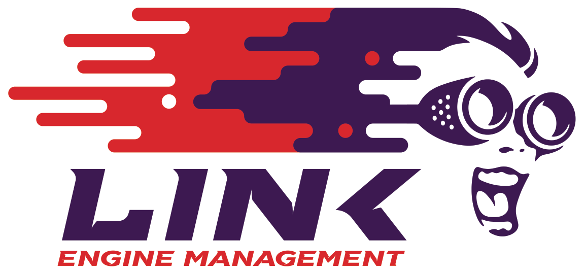 LINK ECU - 8 x Exhaust Gas Temperature Probe Bundle (EGTs)