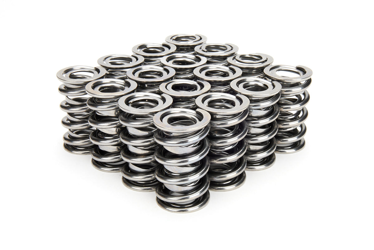 VALVE SPRING SET