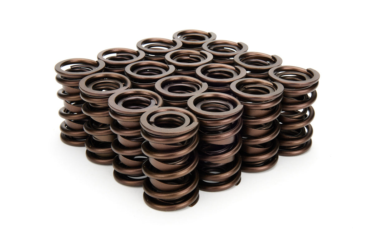VALVE SPRING SET