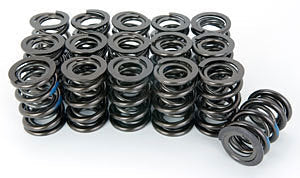 VALVE SPRING SET