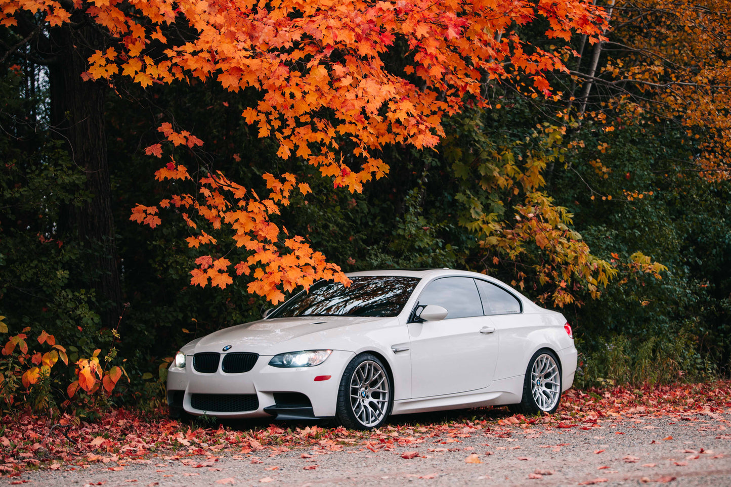 BMW M3 E90/E92/E93 (2008–2013) Spec-R Lowering Springs