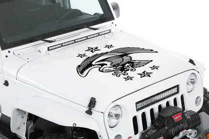 Eagle Hood Graphic