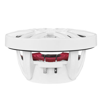 NXL 6.5" 2-Way Coaxial Marine Speaker with LED RGB Lights | 100W RMS 4-Ohm
