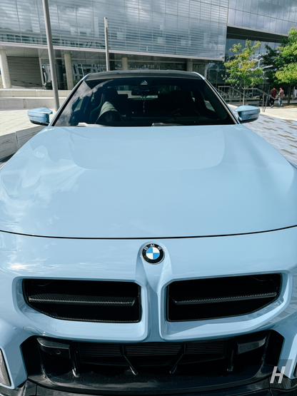 VR1 Carbon Fiber Front Grill - G87 M2