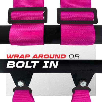 Pro Series 4 point Harness with push button release 2" & 3" available