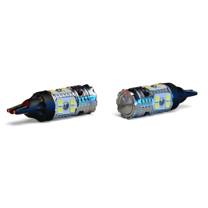 Dapper Lighting Revive LED Bulbs, 921 (T15)