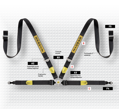 Sabelt 4 Point Harness | Porsche GT3/GT4