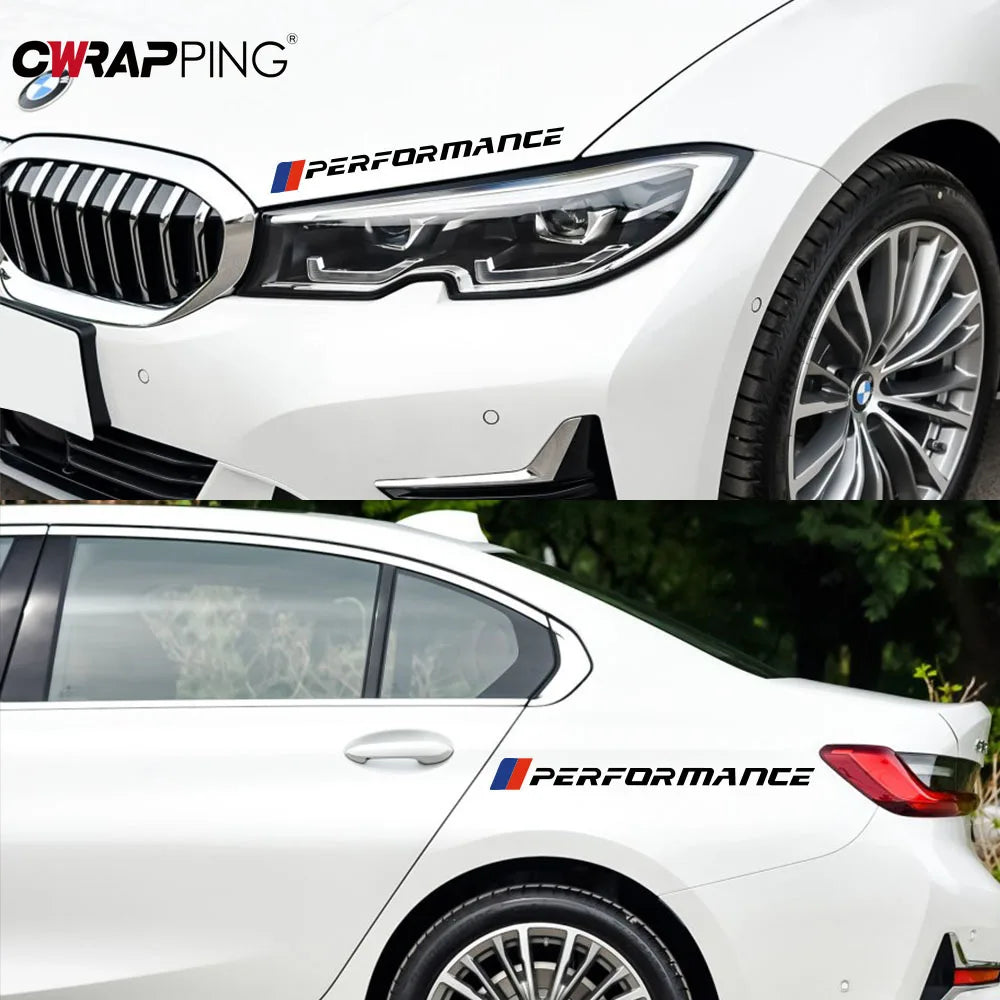 Performance Stripe Decal | Door & Front Visor Vinyl Graphic for Cars & Trucks