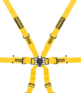 Schroth Profi 2x2 6 Point Racing Harness| Porsche GT3/GT4