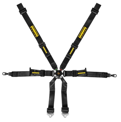 Schroth Profi 2x2 6 Point Racing Harness| Porsche GT3/GT4