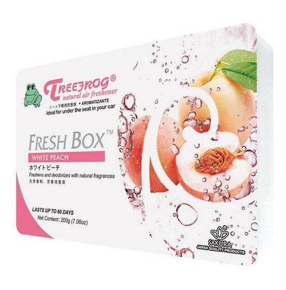 24 Pack Display Treefrog Fresh Box Air Fresheners
