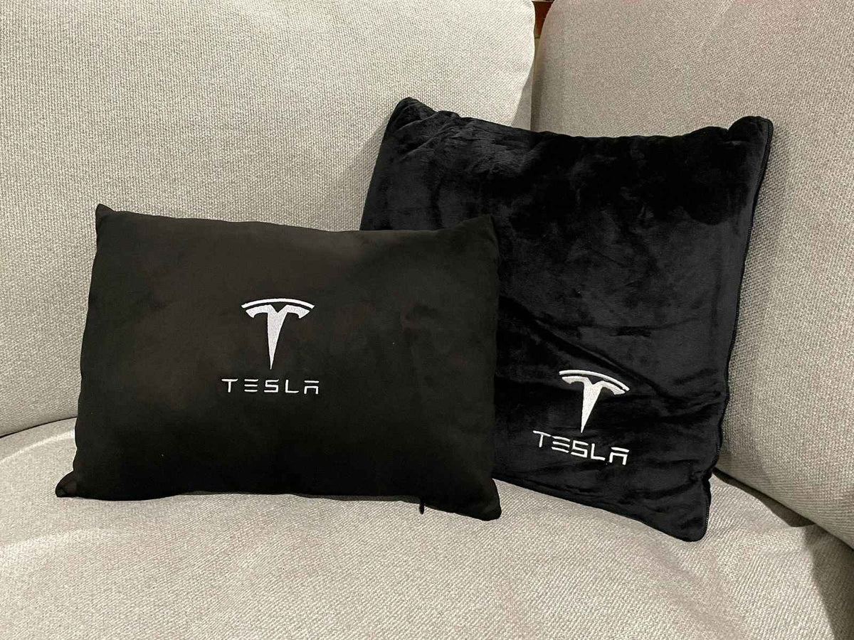 Tesla Throw Pillows