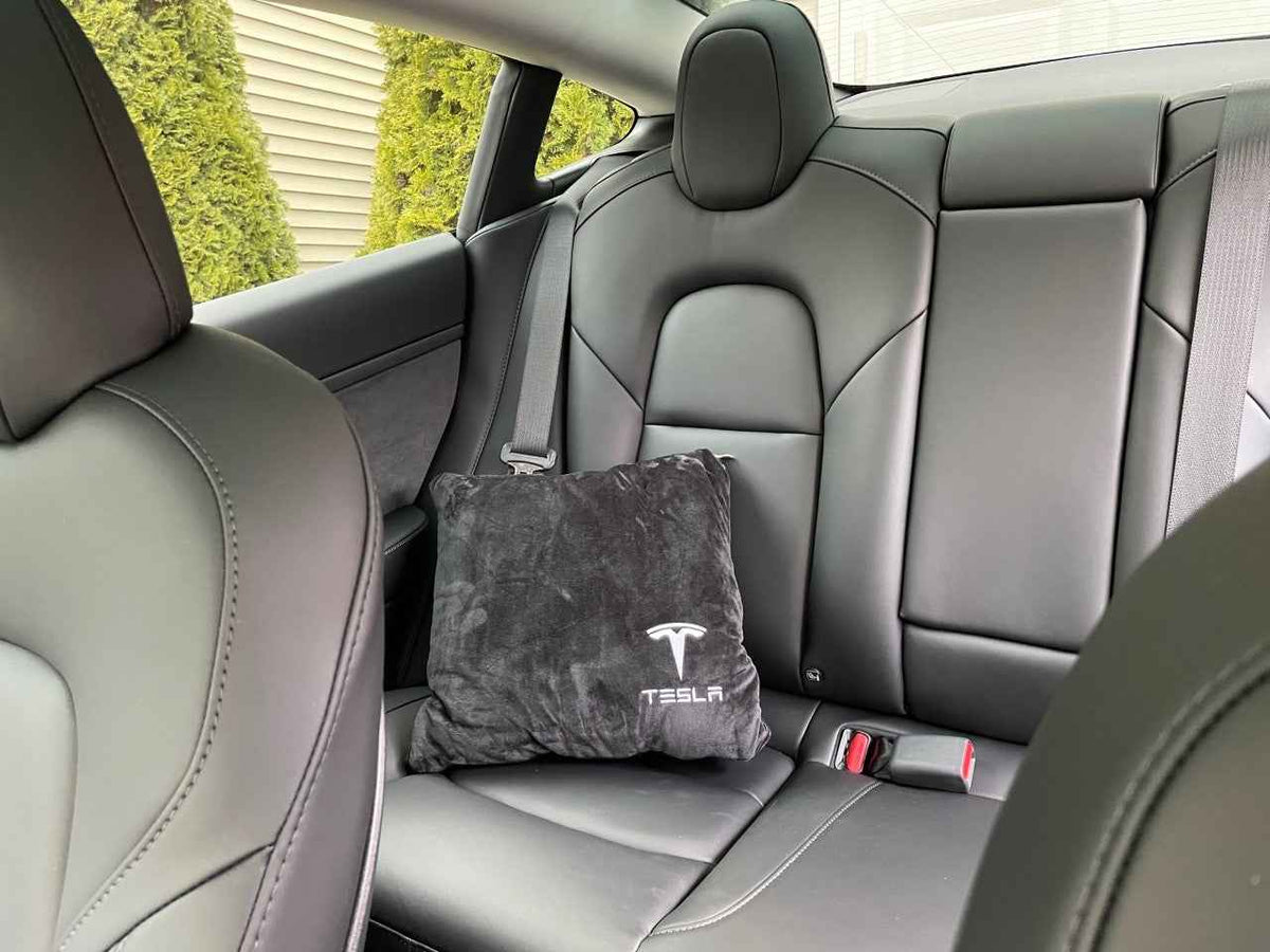 Tesla Throw Pillows