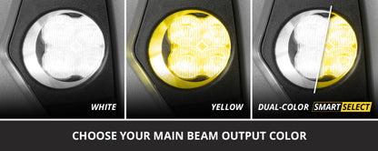 Diode Dynamics 17-20 Ford F-150 Raptor SS3 LED Fog Light Kit