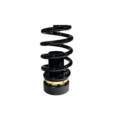 BLOX Racing 17+ Honda Civic SI Plus Series Fully Adjustable Coilovers 17+ Honda Civic Hatchback 52mm BXSS-00132