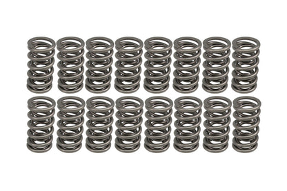 COMP Cams 1.301in OD Dual Springs 1.900in Installed Height (Set of 16) 26527-16