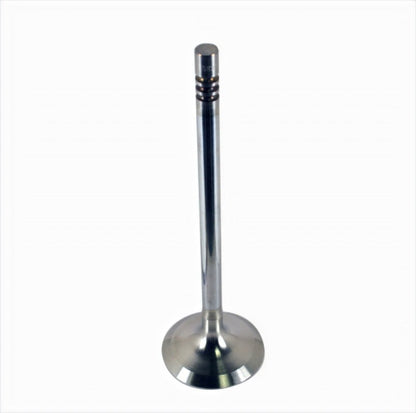 Ford Racing Coyote 5.2L Lightweight Exhaust Valve - Set of 8 M-6505-M52