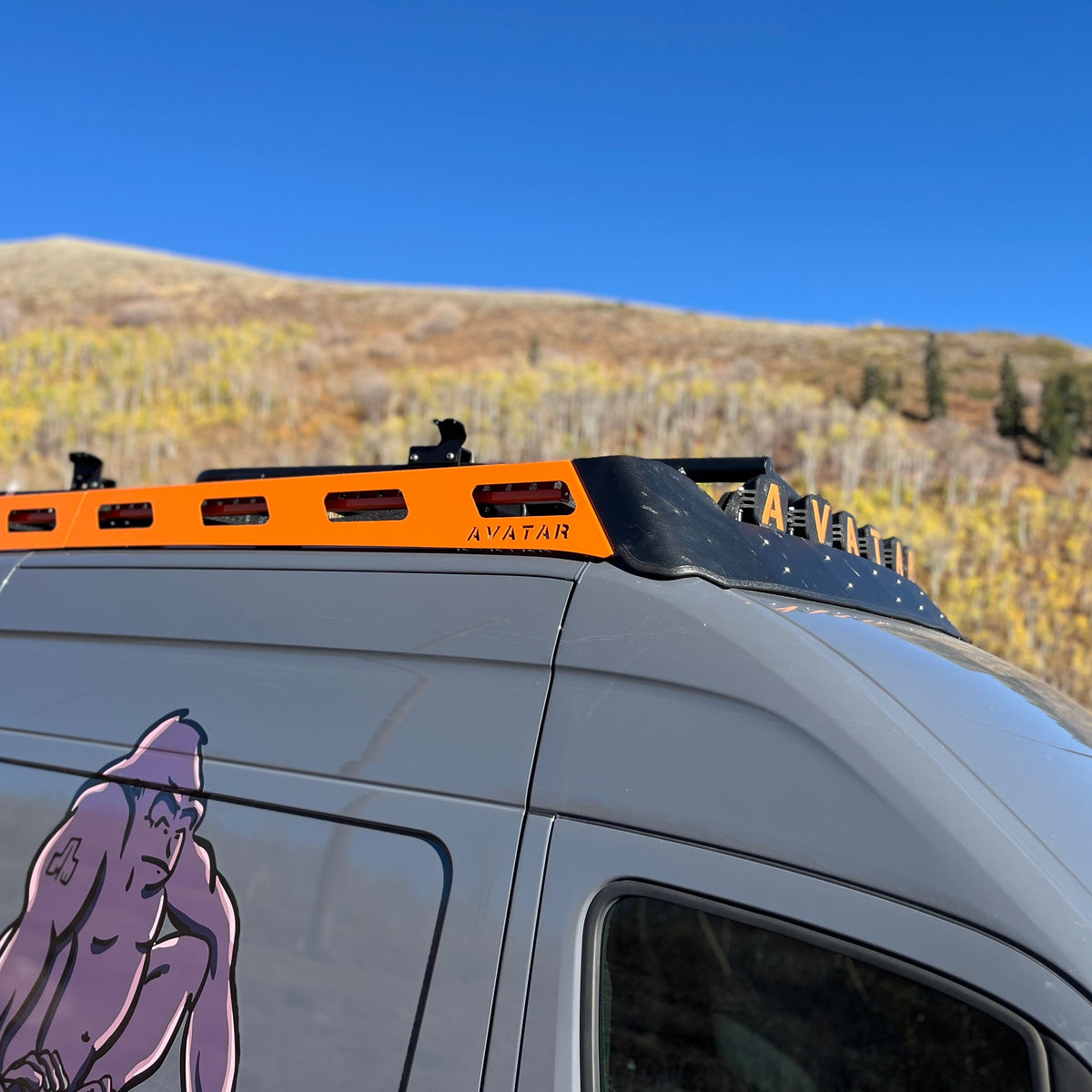 Pioneer Sprinter Roof Rack