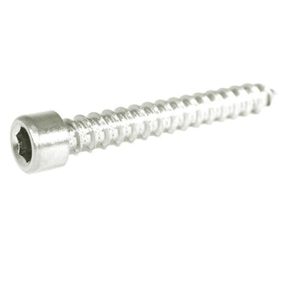 ZSPEC M6x40mm Coarse Socket-Cap SHSC Fasteners, Stainless, 10-Pack