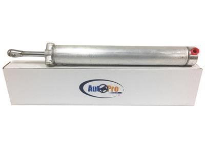 CONVERTIBLE & T-TOP COMPONENTS