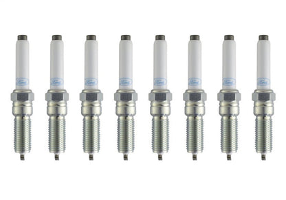 Ford Racing Performance 5.0L VDE Coyote Cold Spark Plug Set M-12405-50VDE