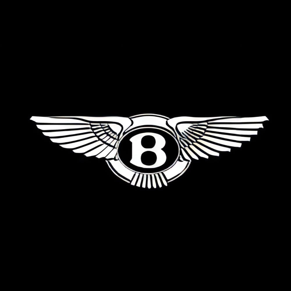 Bentley Bentayga Premium Door Puddle Lights Various Designs 2015-2026
