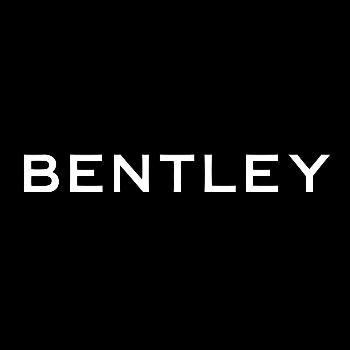 Bentley Continental GT Premium Door Puddle Lights Various Designs 2003-2026
