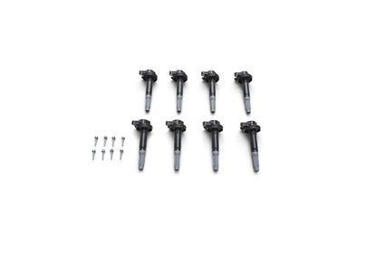 Ford Racing Boss 5.0L Block Plug & Dowel Kit M-6026-BOSS50