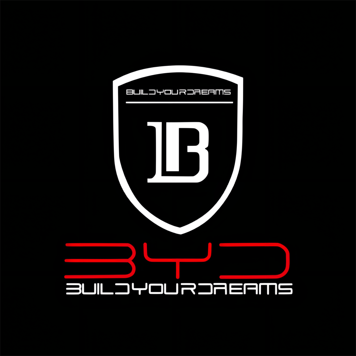 BYD Atto 3 Door Stick On Puddle Lights Various Designs 2022-2026