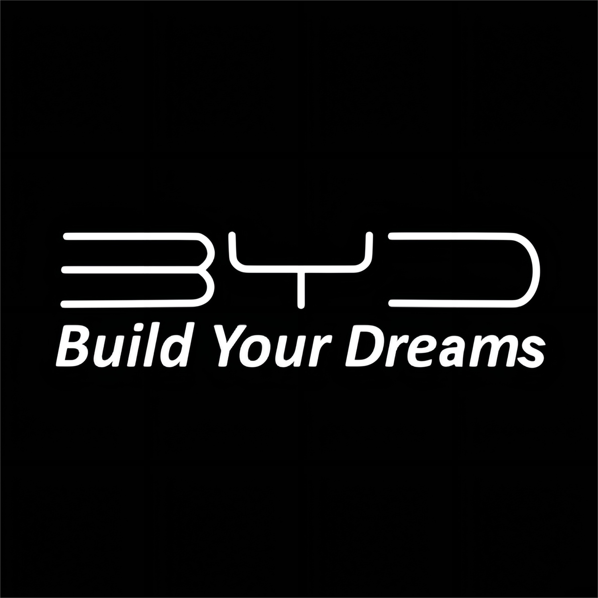 BYD Song Pro Premium Door Puddle Lights Various Designs 2019-2026