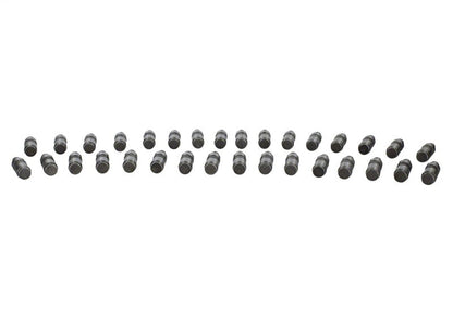 Ford Performance Parts Ford Racing 5.0L Coyote Lash Adjuster Assembly Kit