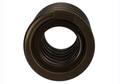 Ford Racing  Replacement Hydraulic Roller Valve Spring - Single (For M-6049-SCJA) M-6513-17341