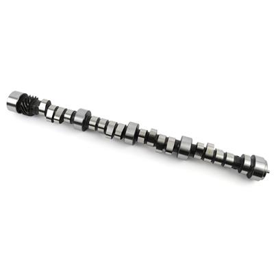 CAMSHAFT HYD ROLLER CHEVY LT1/