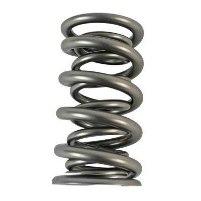 VALVE SPRING