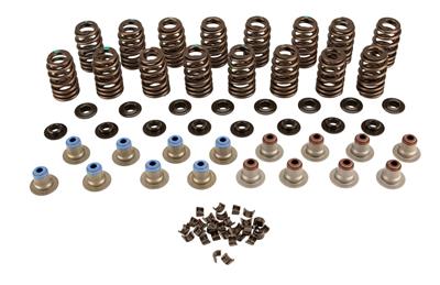 VALVE SPRING KIT